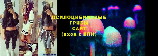 ПСИЛОЦИБИНОВЫЕ ГРИБЫ Ельня