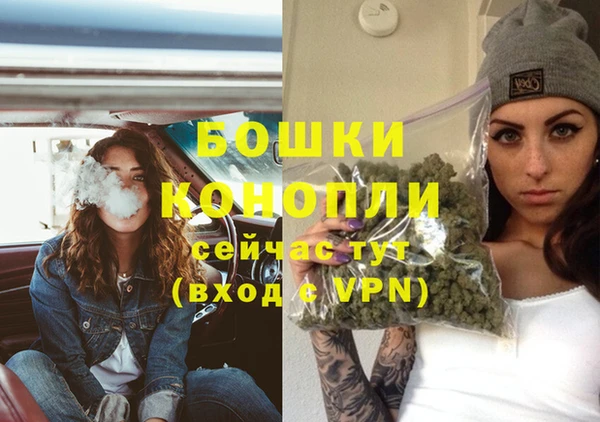 крисы Елабуга