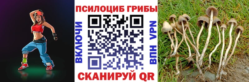 Галлюциногенные грибы прущие грибы Горячеводский